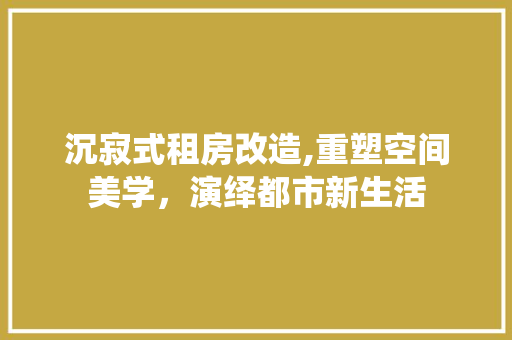 沉寂式租房改造,重塑空间美学，演绎都市新生活
