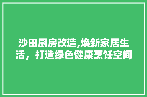 沙田厨房改造,焕新家居生活，打造绿色健康烹饪空间