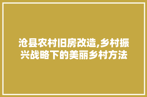 沧县农村旧房改造,乡村振兴战略下的美丽乡村方法