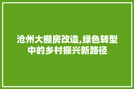 沧州大棚房改造,绿色转型中的乡村振兴新路径