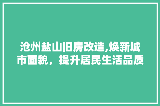 沧州盐山旧房改造,焕新城市面貌，提升居民生活品质