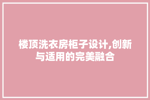 楼顶洗衣房柜子设计,创新与适用的完美融合