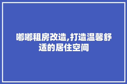 嘟嘟租房改造,打造温馨舒适的居住空间