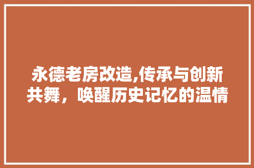永德老房改造,传承与创新共舞，唤醒历史记忆的温情空间