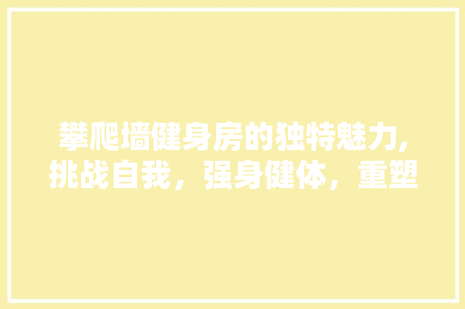 攀爬墙健身房的独特魅力,挑战自我，强身健体，重塑生活