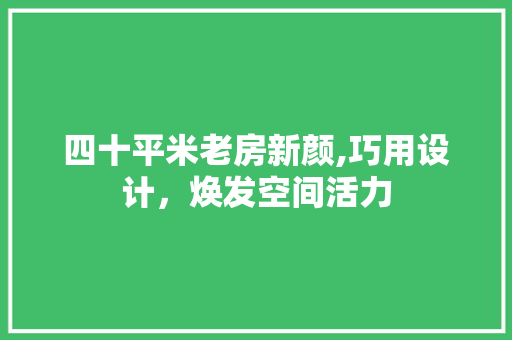 四十平米老房新颜,巧用设计，焕发空间活力