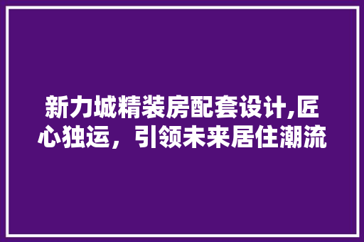 新力城精装房配套设计,匠心独运，引领未来居住潮流