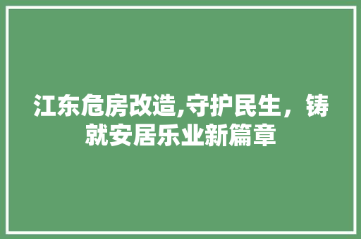 江东危房改造,守护民生，铸就安居乐业新篇章