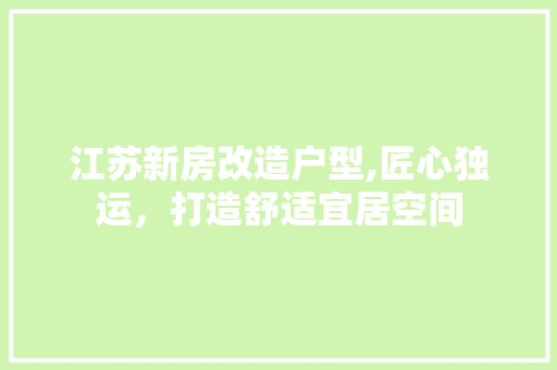江苏新房改造户型,匠心独运，打造舒适宜居空间