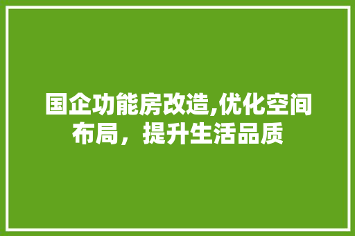 国企功能房改造,优化空间布局，提升生活品质