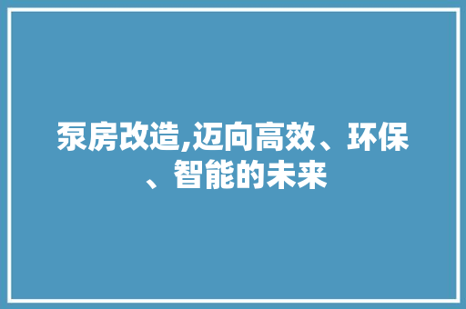 泵房改造,迈向高效、环保、智能的未来