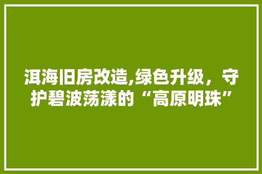 洱海旧房改造,绿色升级，守护碧波荡漾的“高原明珠”