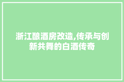 浙江酿酒房改造,传承与创新共舞的白酒传奇