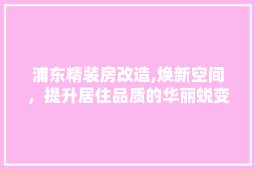 浦东精装房改造,焕新空间，提升居住品质的华丽蜕变