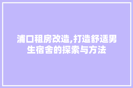 浦口租房改造,打造舒适男生宿舍的探索与方法