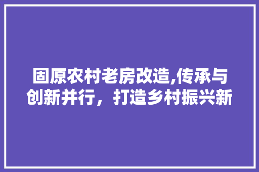 固原农村老房改造,传承与创新并行，打造乡村振兴新画卷