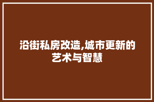 沿街私房改造,城市更新的艺术与智慧