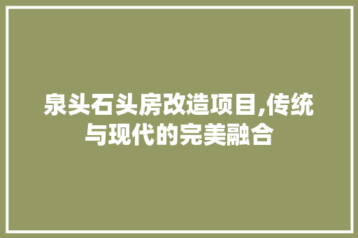 泉头石头房改造项目,传统与现代的完美融合