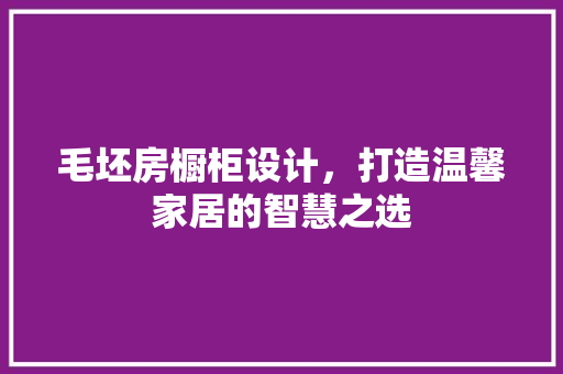 毛坯房橱柜设计，打造温馨家居的智慧之选