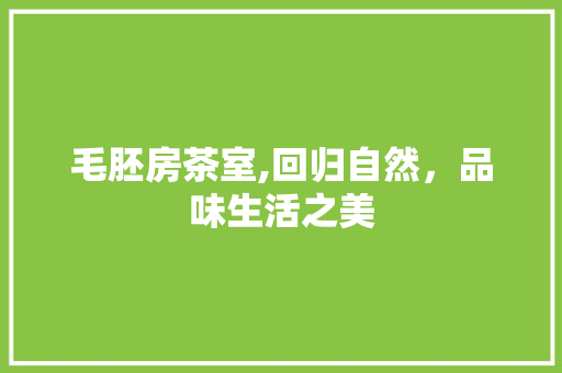 毛胚房茶室,回归自然，品味生活之美