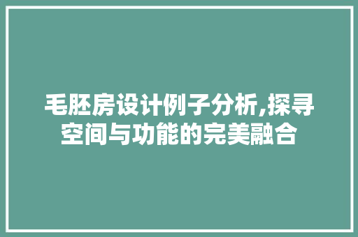 毛胚房设计例子分析,探寻空间与功能的完美融合