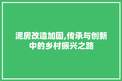 泥房改造加固,传承与创新中的乡村振兴之路