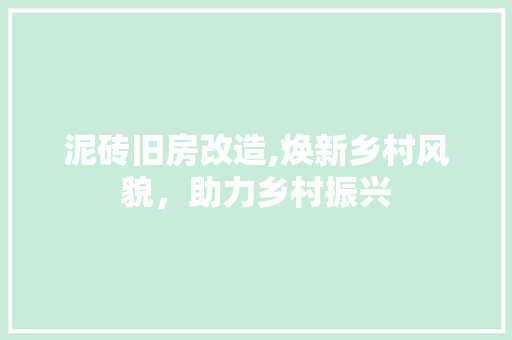 泥砖旧房改造,焕新乡村风貌，助力乡村振兴