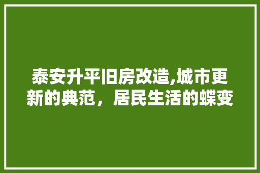 泰安升平旧房改造,城市更新的典范，居民生活的蝶变