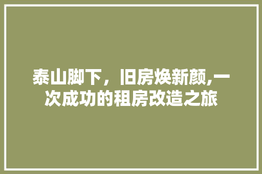 泰山脚下，旧房焕新颜,一次成功的租房改造之旅