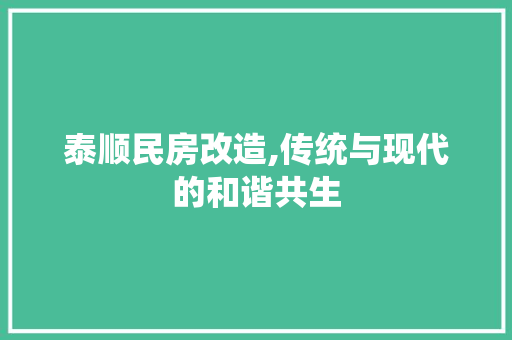 泰顺民房改造,传统与现代的和谐共生