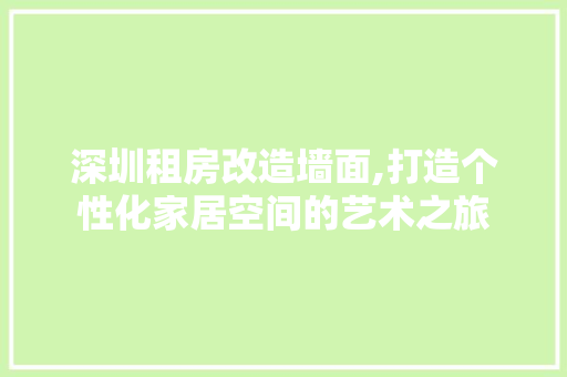 深圳租房改造墙面,打造个性化家居空间的艺术之旅