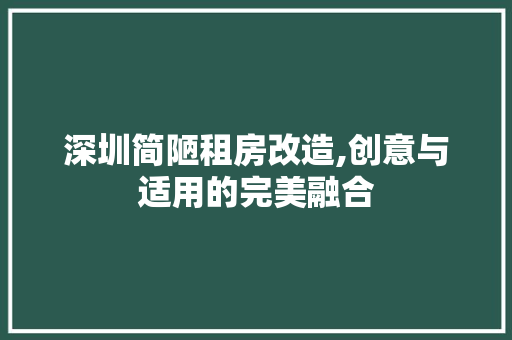 深圳简陋租房改造,创意与适用的完美融合