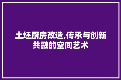 土坯厨房改造,传承与创新共融的空间艺术
