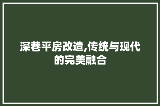 深巷平房改造,传统与现代的完美融合