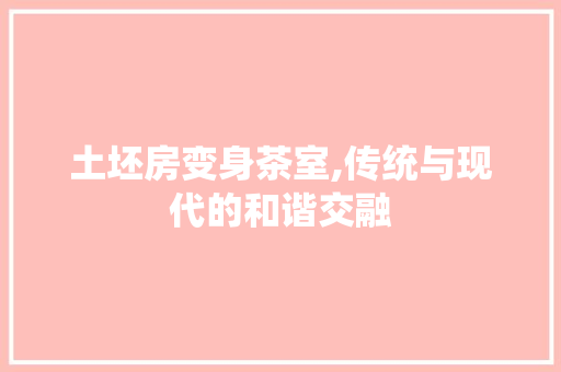 土坯房变身茶室,传统与现代的和谐交融