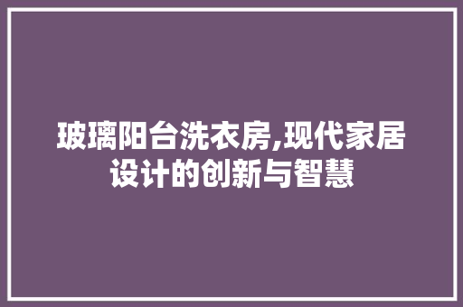 玻璃阳台洗衣房,现代家居设计的创新与智慧