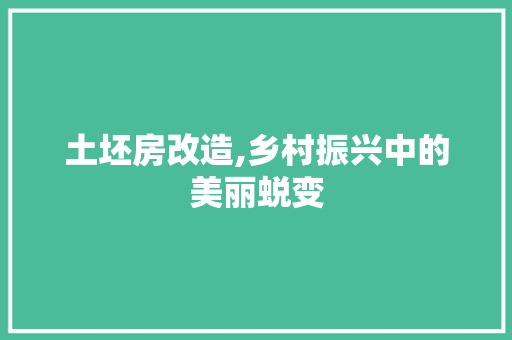 土坯房改造,乡村振兴中的美丽蜕变