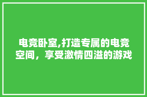 电竞卧室,打造专属的电竞空间，享受激情四溢的游戏时光