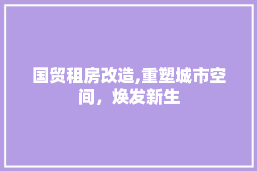国贸租房改造,重塑城市空间，焕发新生