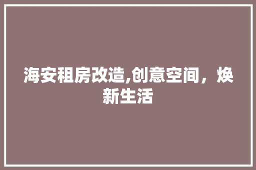 海安租房改造,创意空间，焕新生活