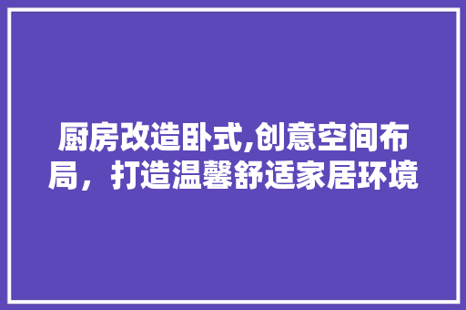 厨房改造卧式,创意空间布局，打造温馨舒适家居环境