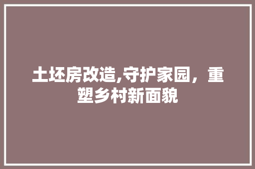 土坯房改造,守护家园，重塑乡村新面貌