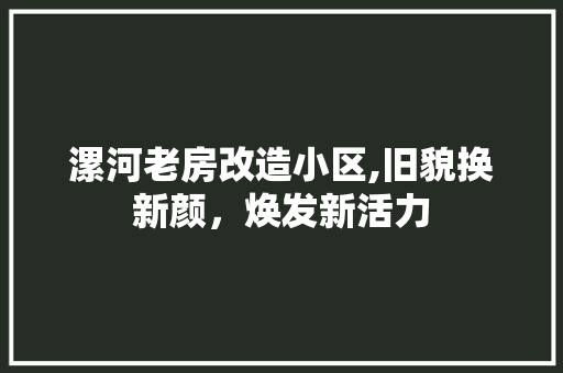 漯河老房改造小区,旧貌换新颜，焕发新活力