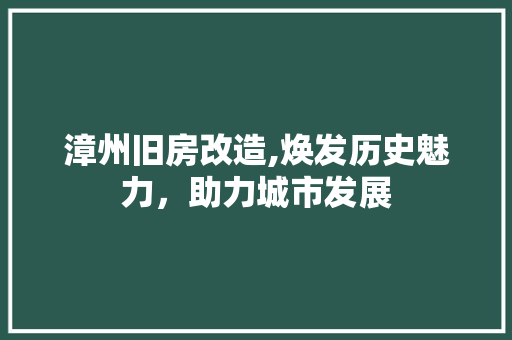 漳州旧房改造,焕发历史魅力，助力城市发展