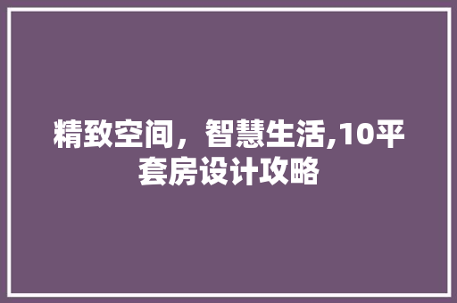 精致空间，智慧生活,10平套房设计攻略