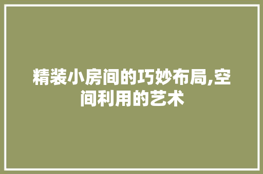 精装小房间的巧妙布局,空间利用的艺术