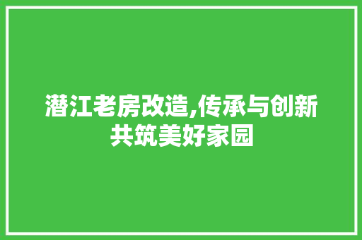 潜江老房改造,传承与创新共筑美好家园