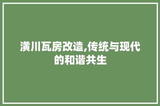 潢川瓦房改造,传统与现代的和谐共生