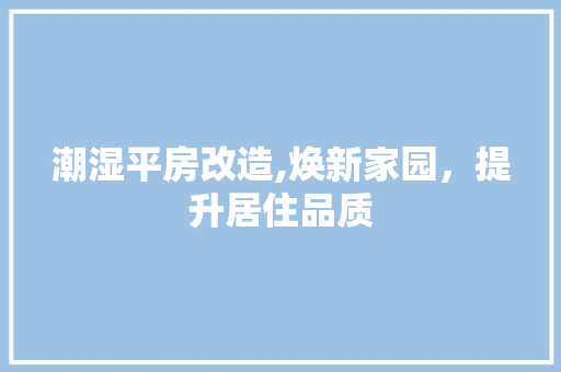潮湿平房改造,焕新家园，提升居住品质