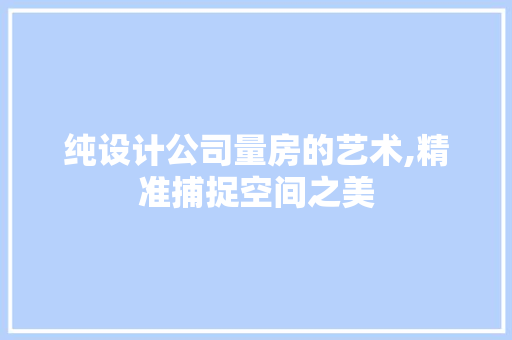 纯设计公司量房的艺术,精准捕捉空间之美